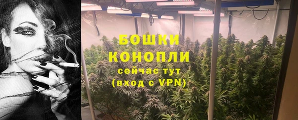 гидра Костерёво