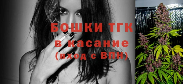 гидра Костерёво
