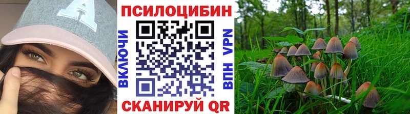 наркота  Циолковский  Галлюциногенные грибы мухоморы 